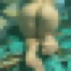 Geraldine, 28 ans, dispo pour rencontre cougar à Montigny-le-Bretonneux