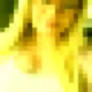 Photo exclusive de Amira, 32 ans à Mourenx - rencontre coquine