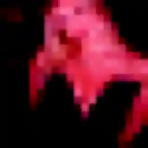 Photo exclusive de Orane, 33 ans à Muret - rencontre sans lendemain