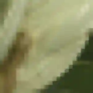 Sexy Marie-Jeanne, 30 ans à Noyal-Châtillon-sur-Seiche - la contacter