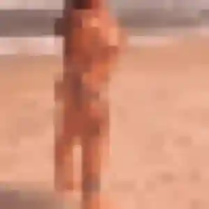 Profil de Veronique à Petit-Bourg (38 ans) - rencontre cougar anonyme