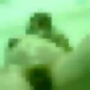 Phoebe, femme de 30 ans cherche rencontre cougar à Ploumagoar
