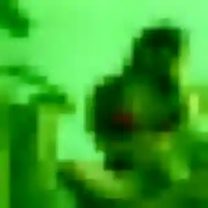 Photo privée de Sarah, 26 ans à Ploumagoar - plan discret