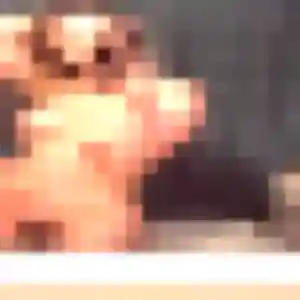 Contacte Flavia, 44 ans à Pornichet gratuitement