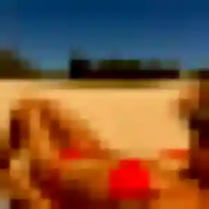Tamara, femme de 43 ans propose rencontre cougar à Prades