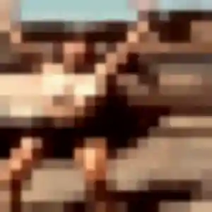 Photo de Celine à Riantec (36 ans) - rencontre cougar anonyme