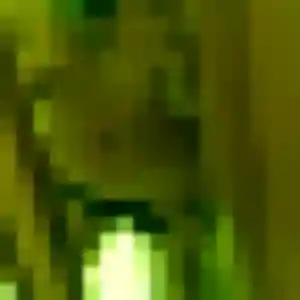 Profil de Delice à Rosny-sous-Bois (23 ans) - rencontre cougar gratuit