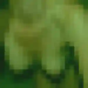 Photo sexy de Chiara, 36 ans à Saint-Cyr-au-Mont-d'Or - rencontre sans lendemain
