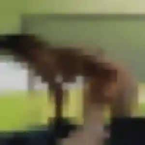 Idalina, femme de 23 ans propose rencontre cougar à Saint-Dié-des-Vosges