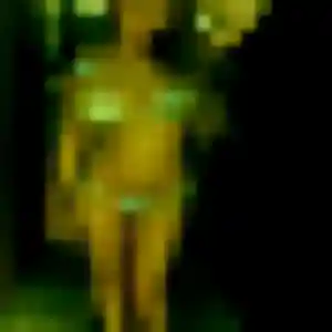 Découvre Pauline, 31 ans à Saint-Georges-d'Orques en t'inscrivant
