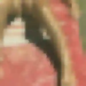 Brigitte, 34 ans, en ligne à Saint-Ismier pour un rencontre cougar