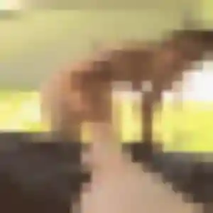 rencontre cougar à Saint-Ismier : profil de Rachida, 39 ans - sans engagement
