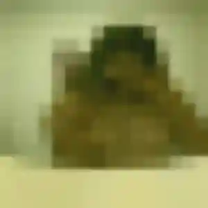 Sexy Corinne, 20 ans à Saint-Jacques-de-la-Lande - la contacter