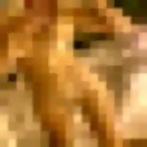 Sara de Saint-Martin-la-Pallu, 20 ans - rencontre cougar sans prise de tête