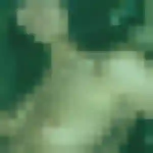 Sixtine (40 ans) à Saint-Nazaire cherche un rencontre cougar aujourd'hui