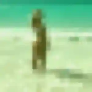 Oumaima, 43 ans, cherche un rencontre cougar à Saint-Orens-de-Gameville
