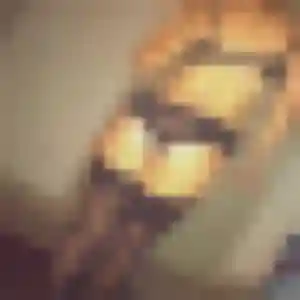 Germaine, fille de 40 ans cherche rencontre cougar à Saint-Paul-Trois-Châteaux