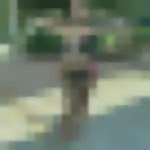 Photo de Hermine à Saint-Pierre-d'Irube (38 ans) - rencontre cougar anonyme