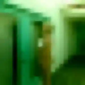 Samantha, fille de 23 ans cherche rencontre cougar à Sainte-Foy-lès-Lyon