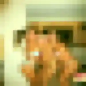 Profil de Renee à Sainte-Marie (34 ans) - rencontre cougar anonyme
