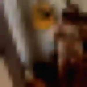 Photo perso de Mathilda, 28 ans à Sainte-Rose - rencontre sans lendemain