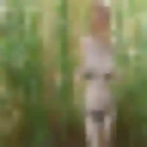 Irina, 24 ans, disponible à Salles pour une rencontre coquine