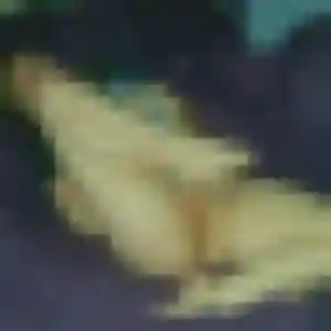 Priscilla, fille de 29 ans cherche rencontre cougar à Savigny-sur-Orge