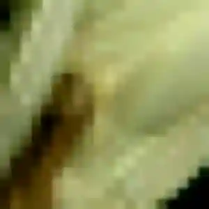 Heloise (39 ans) à Seysses cherche un rencontre cougar ce soir