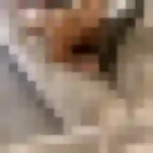 Albertine, 23 ans, cherche un rencontre cougar à Tourcoing