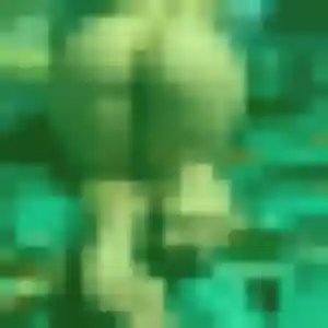 Photo perso de Alessandra, 26 ans à Trélissac - plan discret