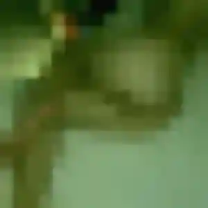 Jeanne, 20 ans, connectée à Trélissac pour une rencontre coquine
