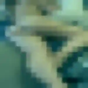 Photo exclusive de Zephyrine, 29 ans à Ussel - rencontre coquine