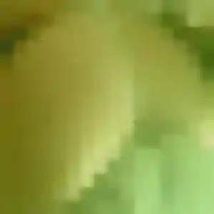 Photo sexy de Elise, 24 ans à Vezin-le-Coquet - rencontre coquine