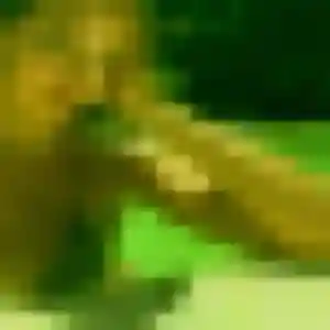 Judith, 27 ans, cherche un rencontre cougar à Villemur-sur-Tarn