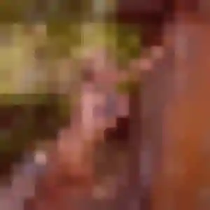 Photo de Adelaide à Villerest (22 ans) - rencontre cougar sans inscription